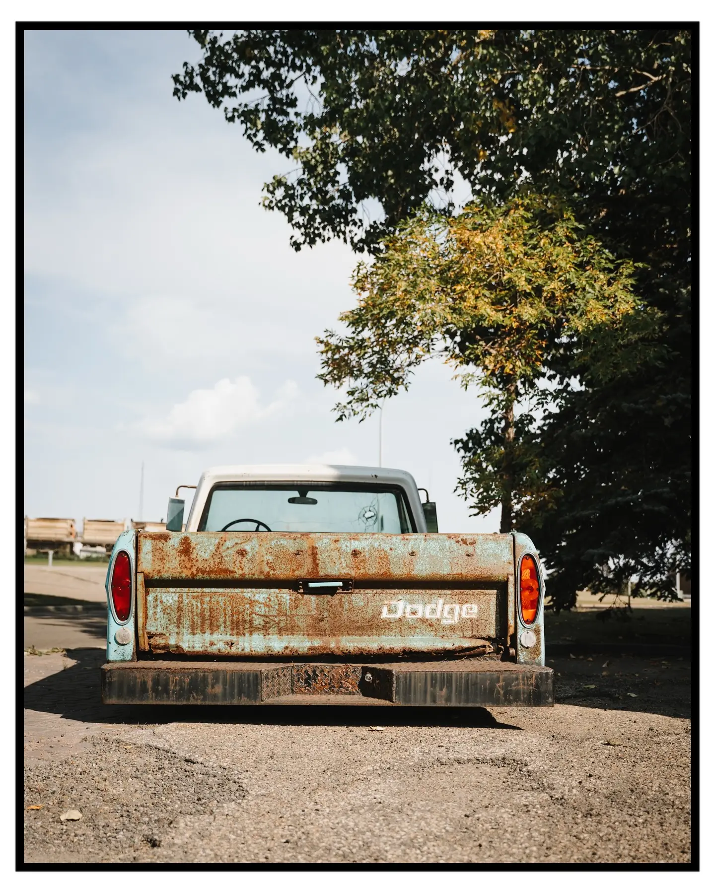 1960s Dodge D100 pickup with weathered turquoise paint and a rust-bloomed tailgate parked under a prairie tree near Edmonton